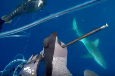 Myślisz, że widziałeś hardcorowe hobby? To zobacz co robi ten gość w wolnym czasie