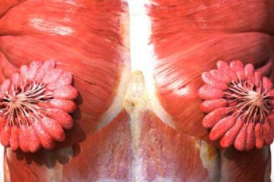 9 ciekawych faktów pokazujących jak niesamowite jest kobiece ciało