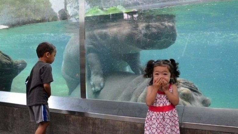 Te zdjęcia są przykładem, że zwykła wycieczka do zoo może przejść najśmielsze oczekiwania i wszystkich zawstydzić