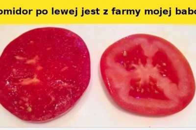 20 rzeczy, których prawie nikt nie widział na własne oczy. Świąt ciągle potrafi zaskoczyć 