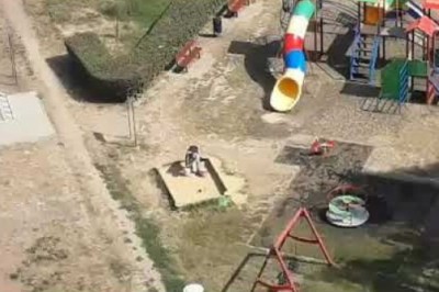 Chytry „Janusz” z Raciborza częstuje się piaskiem z piaskownicy