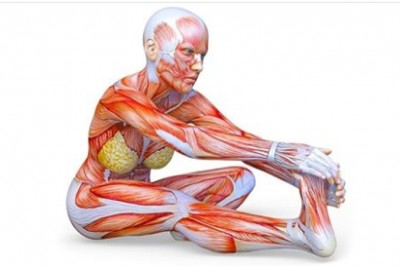 8 ćwiczeń rozciągających, dzięki którym w 4 tygodnie staniesz się giętka niczym kot