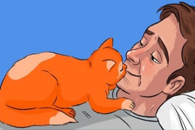 13 zachowań, które świadczą o tym, że twój kot cię kocha