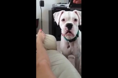 Wystawiła nogę i liczyła na fajną zabawę na kanapie. Trochę się przeliczyła