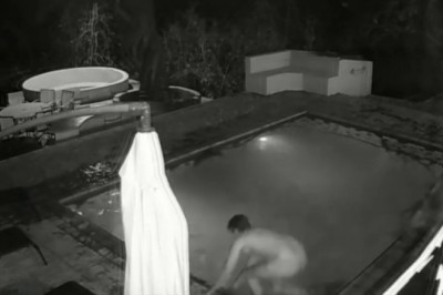 Aligator zaatakował parkę pływającą w basenie podczas imprezy 