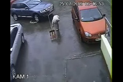 Kiedy myślisz, że widziałeś słabe parkowanie, ale ten gość przebija wszystko