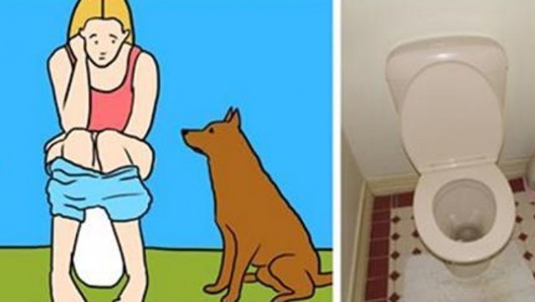 Twój pies zawsze idzie za Tobą do toalety? Chce przekazać bardzo ważna wiadomość