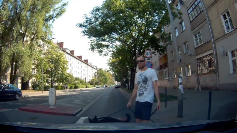 Chamskie zachowanie typa z psem na przejściu we Wrocławiu