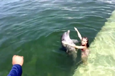 Nauka pływania z delfinem. Chyba każdy chciałby tego spróbować 