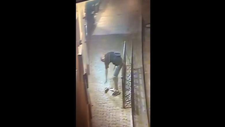Seba niepokonany samozaorany. Nagranie z Wyspy Słodowej we Wrocławiu