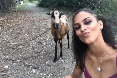 Chciała się pochwalić filmikiem z kozą. Szybko tego pożałowała 