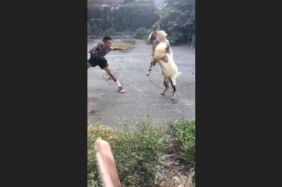 Gdy Twój kumpel odwala taką akcję, że tylko boki zrywać 