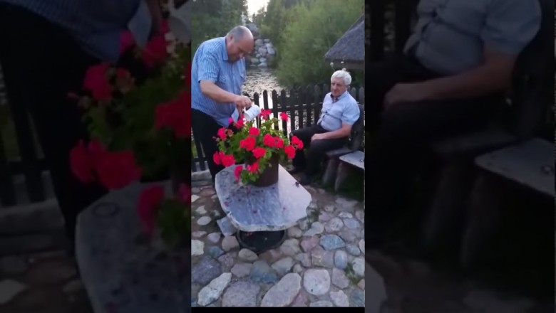 „Rośnie jak grzyby po deszczu”. Niespodzianka w ogródku