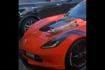 Jak zniszczyć lakier super bryki? Ten gościu się przekonał 