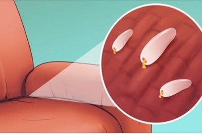 5 znaków świadczących o tym, że w twoim domu znajdują się pluskwy