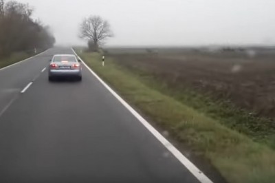 Przebiegł Ci kiedyś jeleń przez drogę? To co powiesz na taką akcję