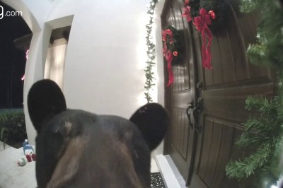 Codzienna porcja zabawnych filmików #3