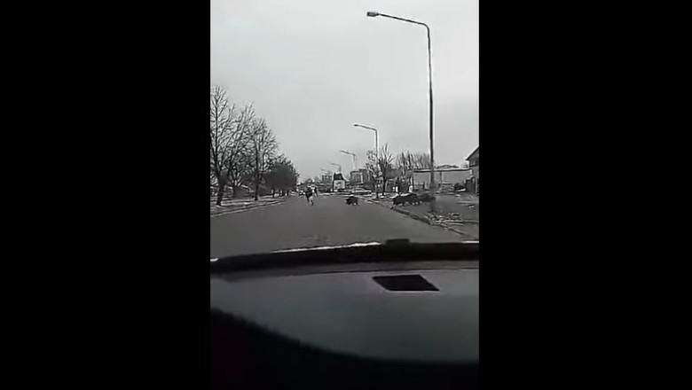 W Zawierciu stado dzików goniło przechodnia. Nagranie ze zdarzenia