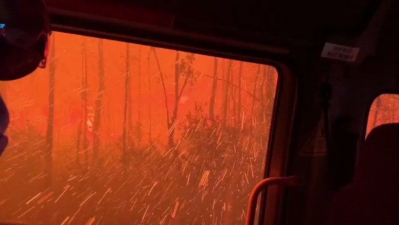Dramatyczna walka strażaków o wyjazd ze środka palącego się lasu