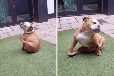 Codzienna porcja ciekawych i zabawnych filmików #31