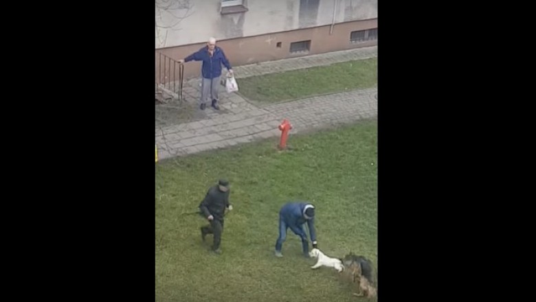 Nagranie z ataku owczarka niemieckiego na osiedlu. Ledwo udało się obronić