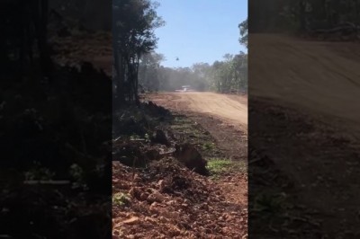 Odrzutowiec kartelu ucieka przez policją i startuje z pasa w dżungli 