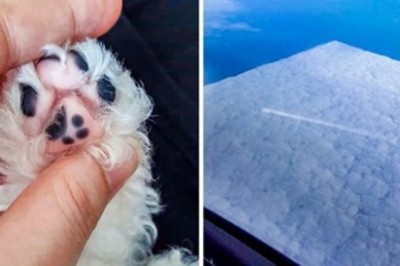 18 przypadków, w których matka natura przeszła samą siebie. Ciężko uwierzyć, że to przypadek