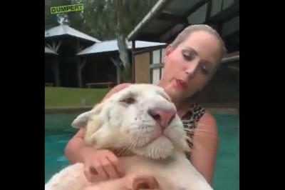 Codzienna porcja ciekawych i zabawnych filmików #46