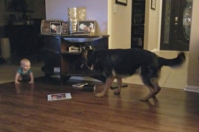 Codzienna porcja ciekawych i zabawnych filmików #61