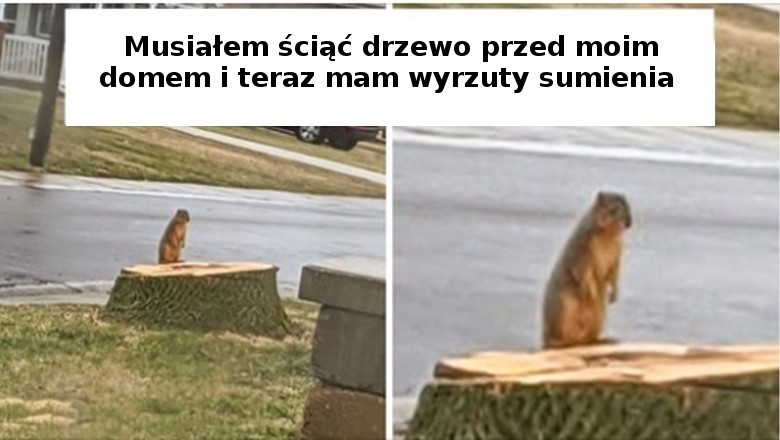 18 zdjęć pokazujących wpływ człowieka na środowisko. Często niestety negatywny