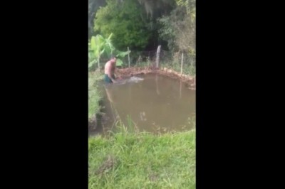 Łowienie ryb gołymi rękoma. Typ szybko pożałował, że tam wszedł