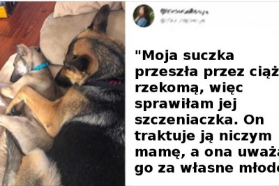 15 zdjęć pokazujących, że cuda naprawdę się zdarzają i możemy ich doświadczyć 