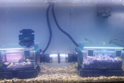 Codzienna porcja ciekawych i zabawnych filmików #99