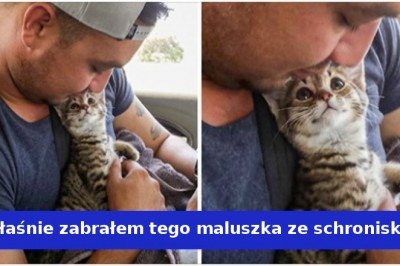 20 zwierzaków, które zajrzały swoim właścicielom prosto w duszę