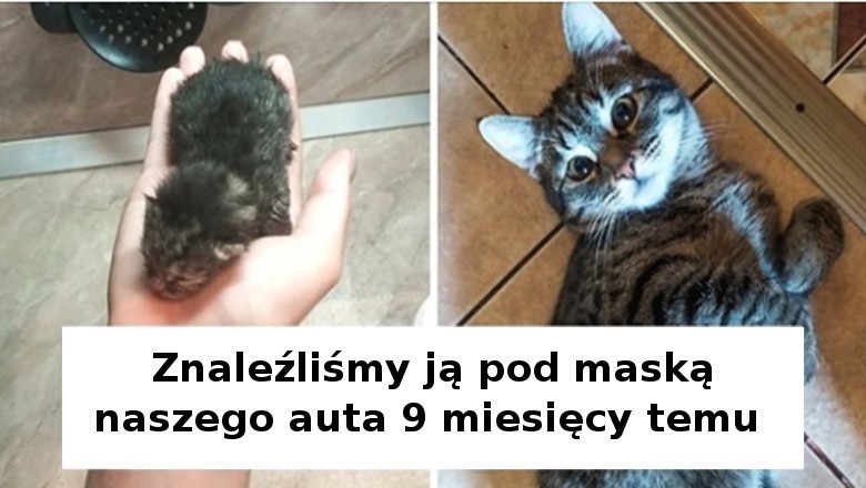 18 szczerych fotografii pokazujących jak szybko rosną nasze zwierzaki