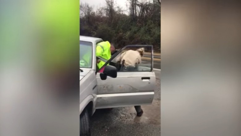 Zabrał policjantom radiowóz. Tak się skończyła ta interwencja
