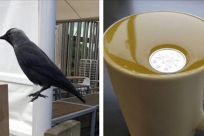 16 zdjęć, które sprawią, że zwątpisz w prawa fizyki. Grawitacja się zepsuła?