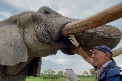 Codzienna porcja ciekawych i zabawnych filmików #122