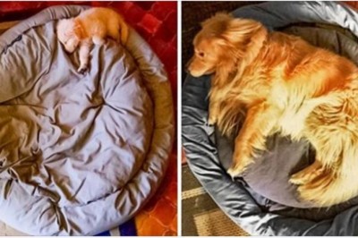 Te zdjęcia udowadniają, że czas płynie zdecydowanie za szybko. Chcemy go zatrzymać