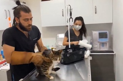 Kiedy masz zły dzień i nic Ci nie odpowiada. Tak to właśnie wygląda