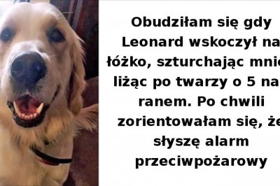 Te zdjęcia udowadniają, że psy dbają o swoich właścicieli tak samo, jak właściciele dbają o nie