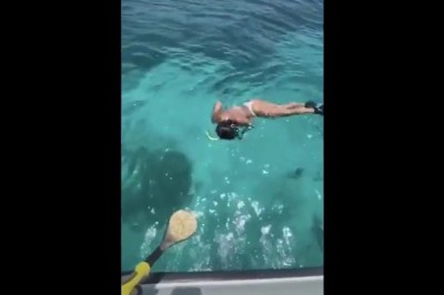 Kiedy chcesz zrobić kawał dziewczynie, która nurkuje z rybkami 