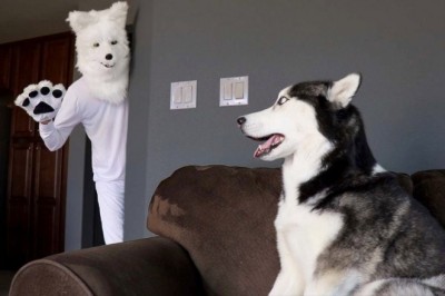 Codzienna porcja ciekawych i zabawnych filmików #168