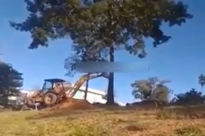 Operator koparki i jego pomysł na wyrwanie drzewa