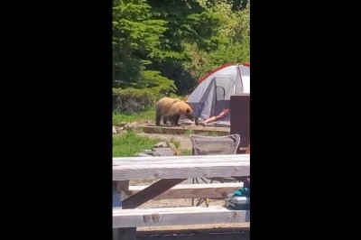 Leżysz sobie spokojnie w namiocie, a tu ziomek chce Ci zabrać buty