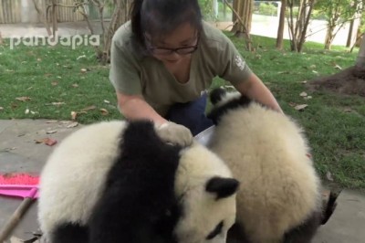 Codzienna porcja ciekawych i zabawnych filmików #177