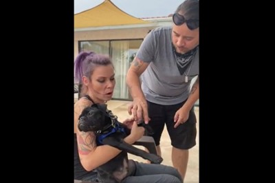 Kiedy mocno wkręcasz dziewczynę, że pies zjadł zabawkę