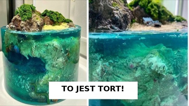 Te słodkie dzieła sprawią, że pomyślisz „Chwila, czy to rzeczywiście tort?”