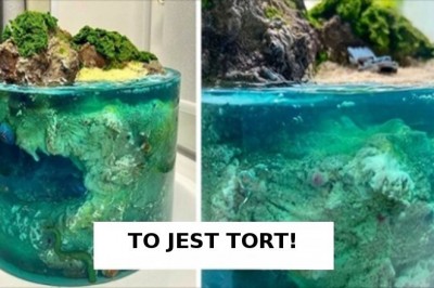 Te słodkie dzieła  sprawią, że pomyślisz „Chwila, czy to rzeczywiście tort?”