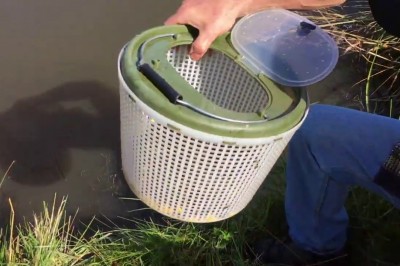 Wpuścili inwazyjny gatunek raka do wody. Pochwalili się tym w internecie